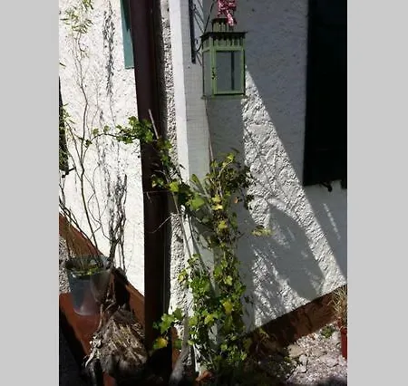 Haus Tulpe Privatunterkunft *