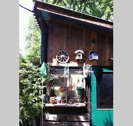 Haus Tulpe