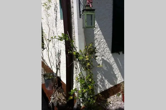 Haus Tulpe Проживание в семье *